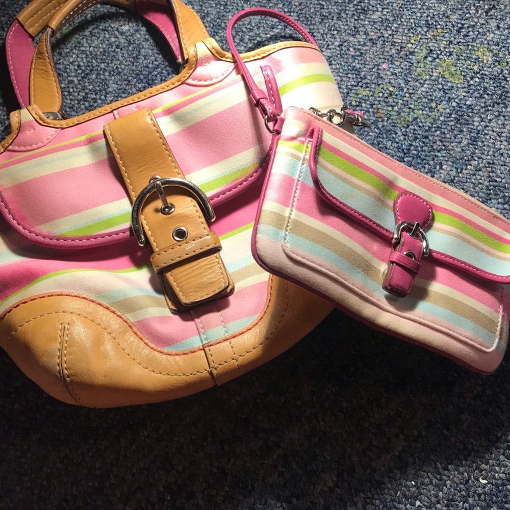 Striped coach purse and wallet purse thing